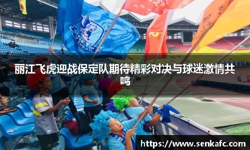 丽江飞虎迎战保定队期待精彩对决与球迷激情共鸣